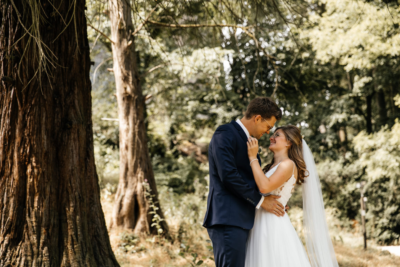 Brautpaar umarmt sich liebevoll unter großen Bäumen – Hochzeitsfotograf Detmold